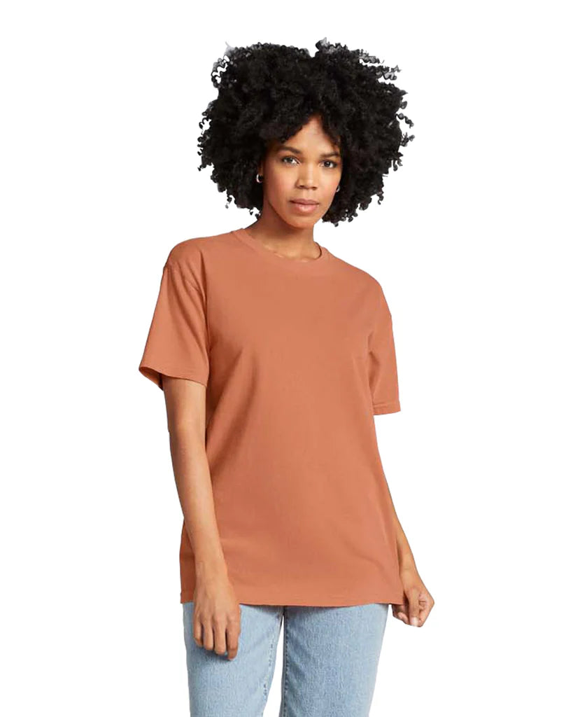 Comfort Colors Heavyweight T-Shirt (Blanks)